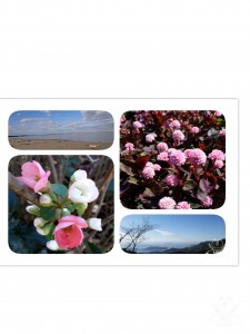 20-01-04-15-54-20-030_deco